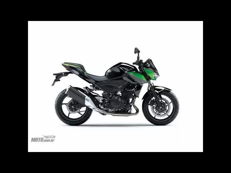 Kawasaki Z Verde 1